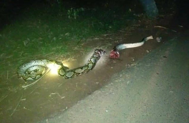 z2a