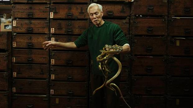 hongkong-snakes08nw1