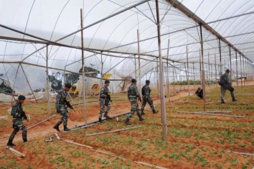 Peneroka Haram Cameron Highlands Masih Cuba Runding Dengan Pihak Berkuasa Peneroka Haram Cameron Highlands Masih Cuba Runding, info, terkini, berita, sensasi, Cameron Highlands,