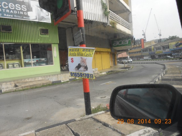 JoRachel 28 Aug 2014 018