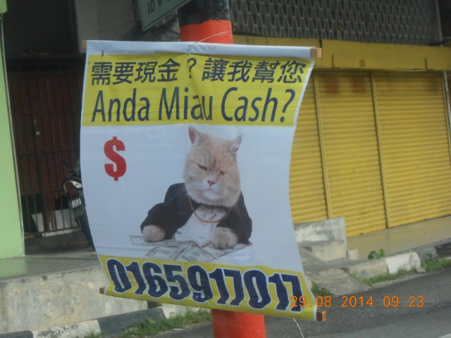 JoRachel 28 Aug 2014 019